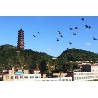 西安重點項目8597萬元陜西子長市紅色教育培訓中心建設項目（子長縣扶貧開發(fā)投資有限責任公司）